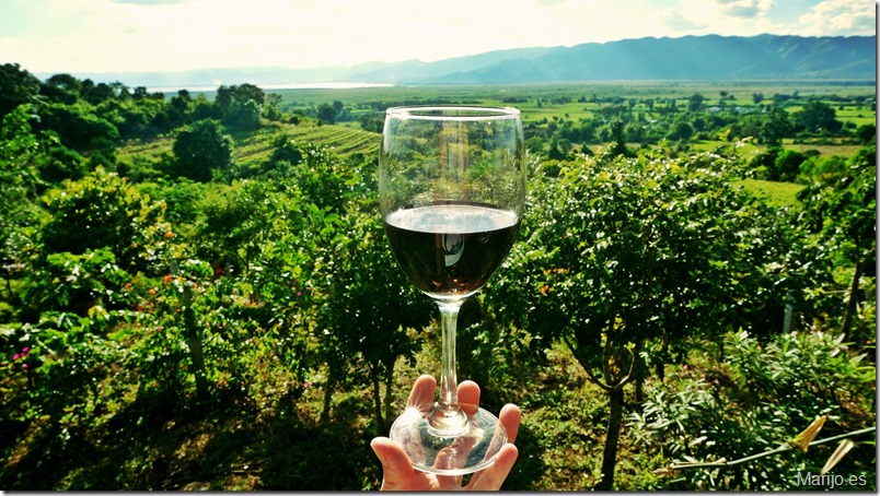 Los vinos de Madrid, presentes en los cursos de verano de El Escorial